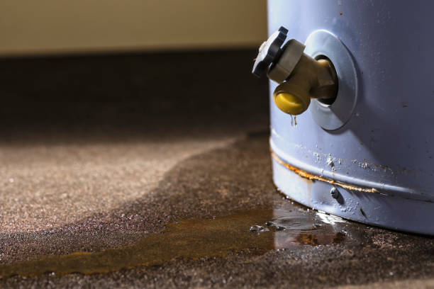 Best Carpet water damage restoration  in Derby, KS
