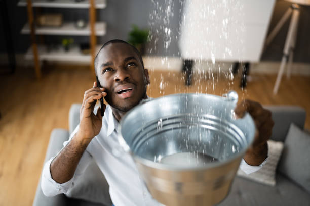 Best Flood restoration services  in Derby, KS