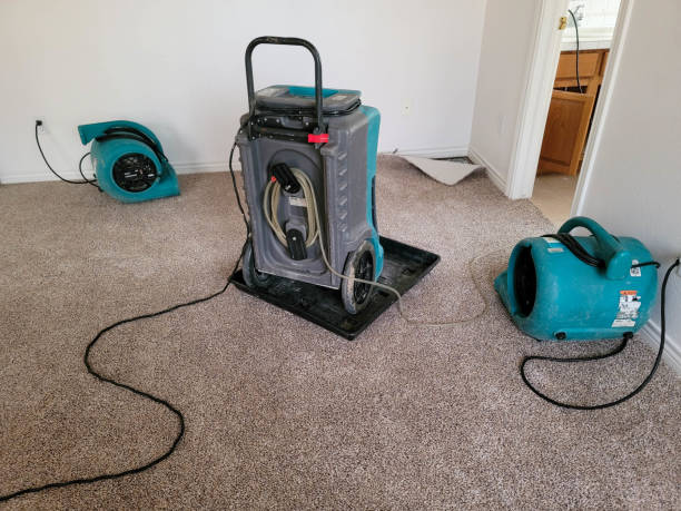 Best 24/7 water damage repair  in Derby, KS
