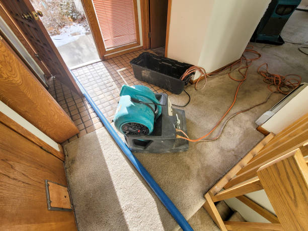 Best Local water damage restoration  in Derby, KS