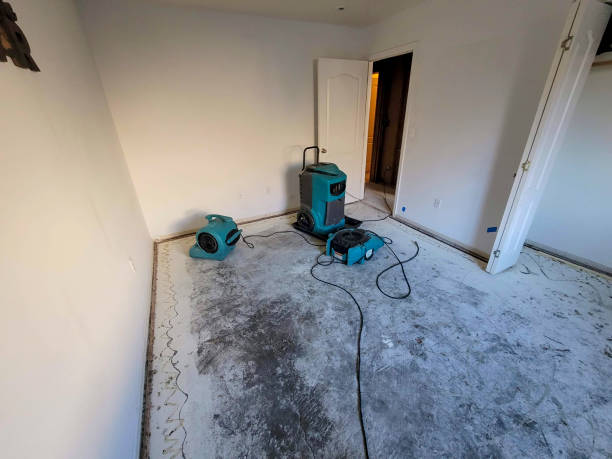 Best Ceiling water damage repair  in Derby, KS