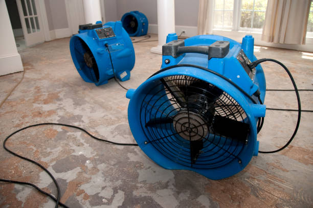 Best Water damage restoration near me  in Derby, KS