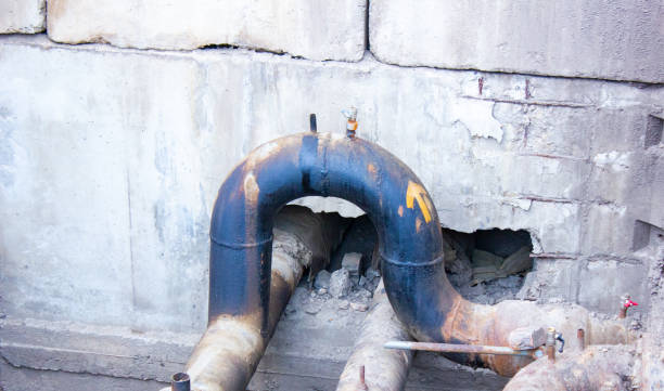Best Mold removal after water damage  in Derby, KS