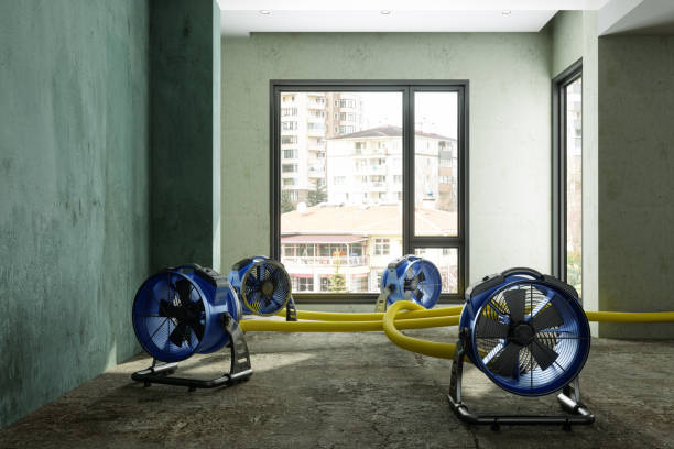 Best Water damage restoration insurance claims  in Derby, KS
